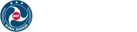 DOT Global Services