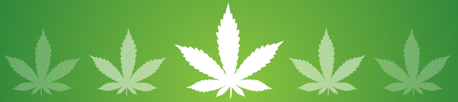 A Look Into The Future: What Do The Coming Days Hold For The Cannabis Industry?