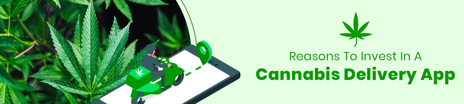 5 Compelling Reasons You Should Invest in a Cannabis App Right Now